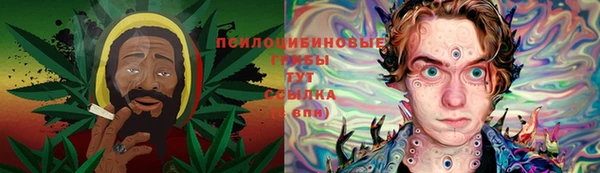 скорость Богданович