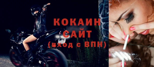 шишки Богородицк