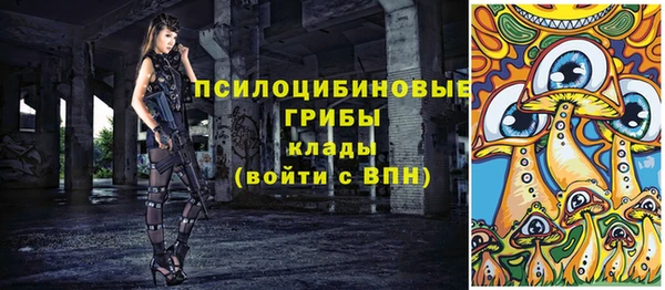 шишки Богородицк