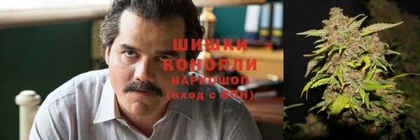 ПСИЛОЦИБИНОВЫЕ ГРИБЫ Снежинск