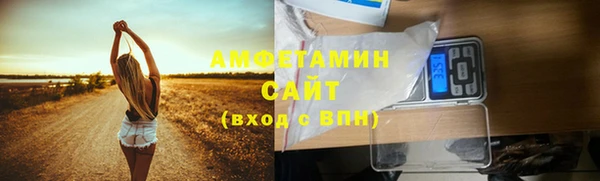 шишки Богородицк