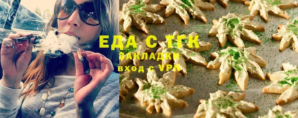 шишки Богородицк
