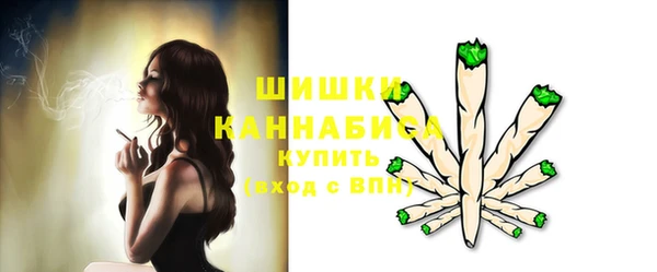 шишки Богородицк