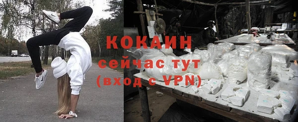 шишки Богородицк