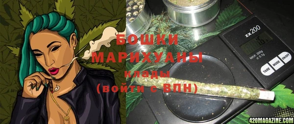 шишки Богородицк