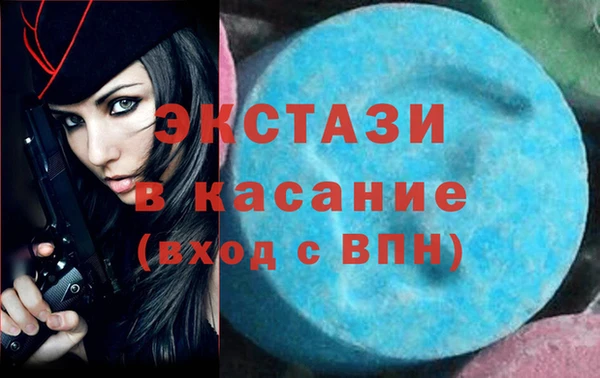 шишки Богородицк