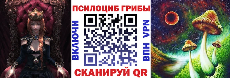 Галлюциногенные грибы прущие грибы  Кимовск 
